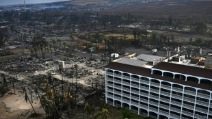 Les pires incendies d'Hawaï font plus de 50 morts, un bilan qui devrait s'alourdir