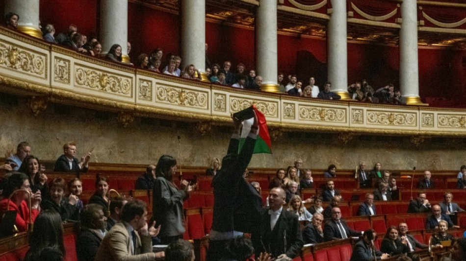 El Parlamento francés sanciona a un diputado por mostrar una bandera palestina