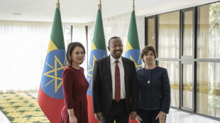 No reconciliation without justice: French, German FMs tell Ethiopia