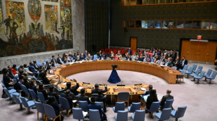 Conselho de Segurança da ONU apoia plano de trégua em Gaza