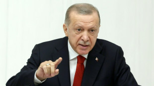 Erdogan droht erneut mit Blockade der Nato-Beitritte Schwedens und Finnlands 
