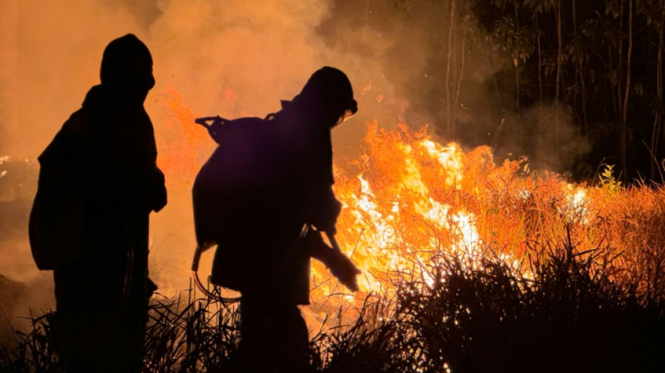 February marks 9th straight month of record-smashing global heat: climate monitor