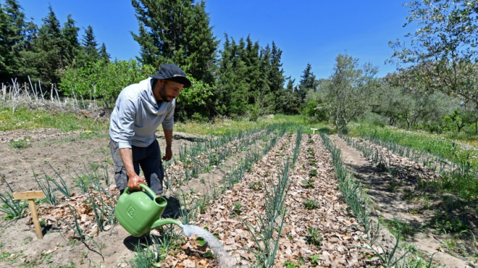 Planet-friendly farming takes root in drought-hit Tunisia