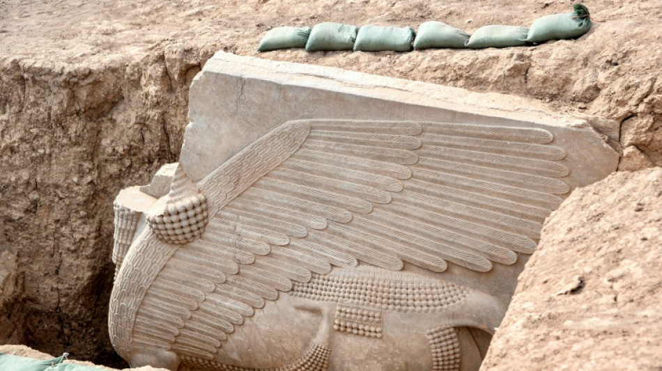 Iraq dig unearths 2,700-year-old winged sculpture largely intact