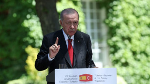 Erdogan agradece a Sánchez sus posiciones sobre Gaza en su visita a Madrid