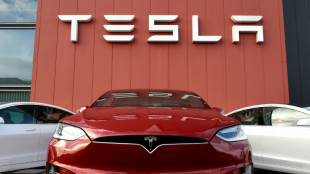 Tesla fährt Rekordgewinn von 5,5 Milliarden Dollar ein