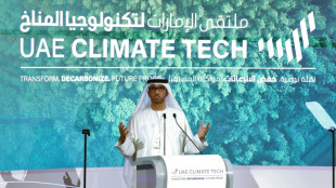 Fake Twitter 'blondes' promote UAE climate summit