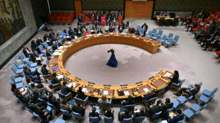 UN Security Council demands end to Darfur city's siege