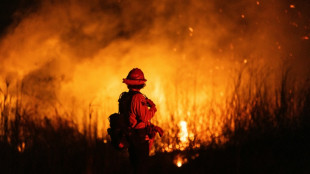 Más satélites para luchar contra los incendios forestales, una idea que se abre camino