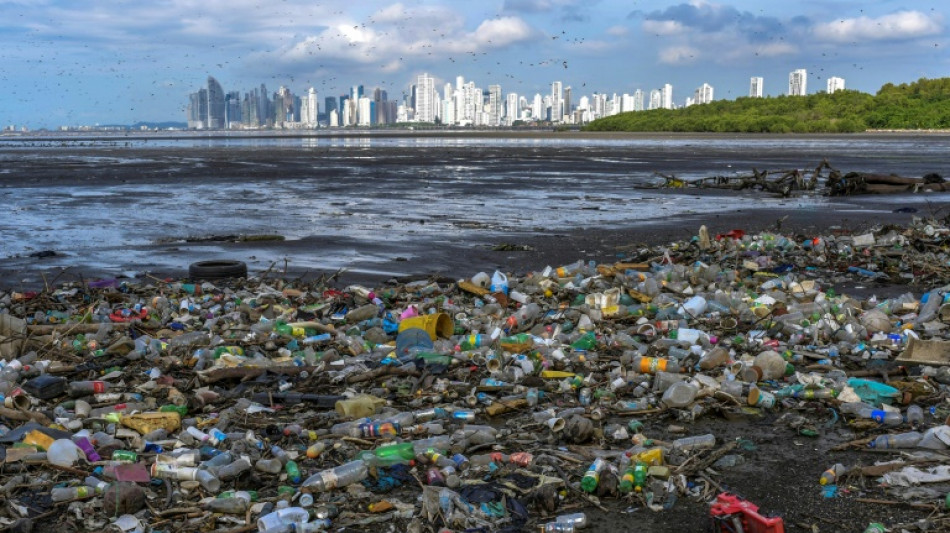 World must work together to tackle plastic ocean threat: WWF