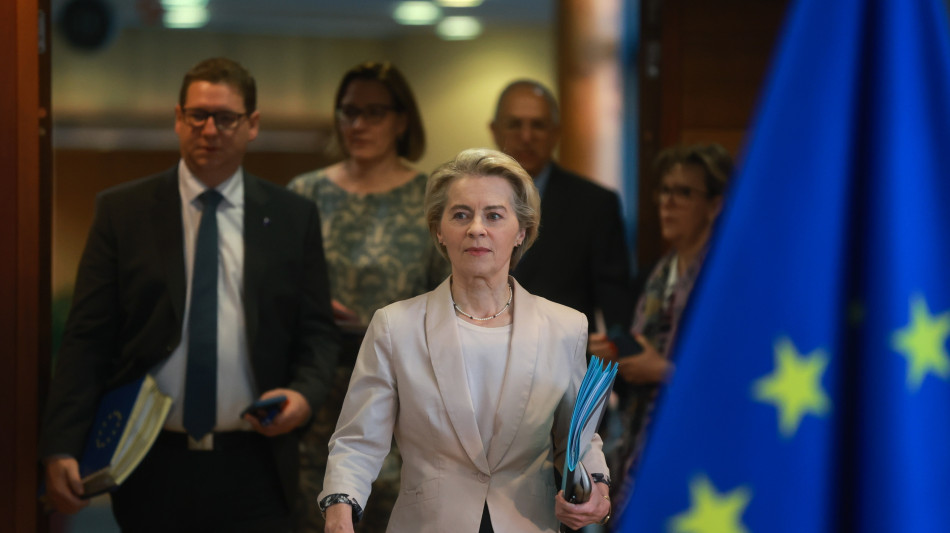 Von der Leyen, 'Clean Industrial Deal toglie freni alle imprese'