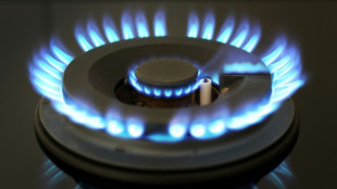 La facture de gaz va grimper de 11,7% en moyenne le 1er juillet pour des millions de Français