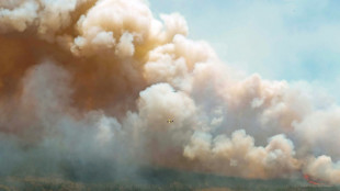 Incendies au Canada: le Québec touché à son tour et forcé d'évacuer 11.000 personnes