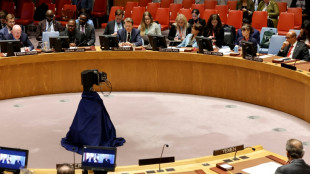 USA beantragen Abstimmung im UN-Sicherheitsrat über Waffenruhe im Gazastreifen