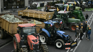 Fin d'une campagne rude dans un monde agricole fragilisé