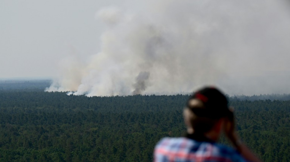 "Narices" electrónicas husmean incendios forestales en Alemania