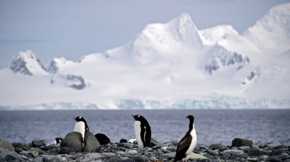 Aires marines protégées: nouvel échec de la commission internationale sur l'Antarctique