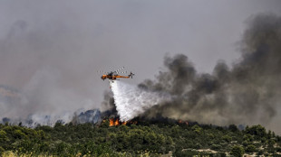 Canicule: la Grèce en "vigilance absolue", l'Acropole de nouveau fermée