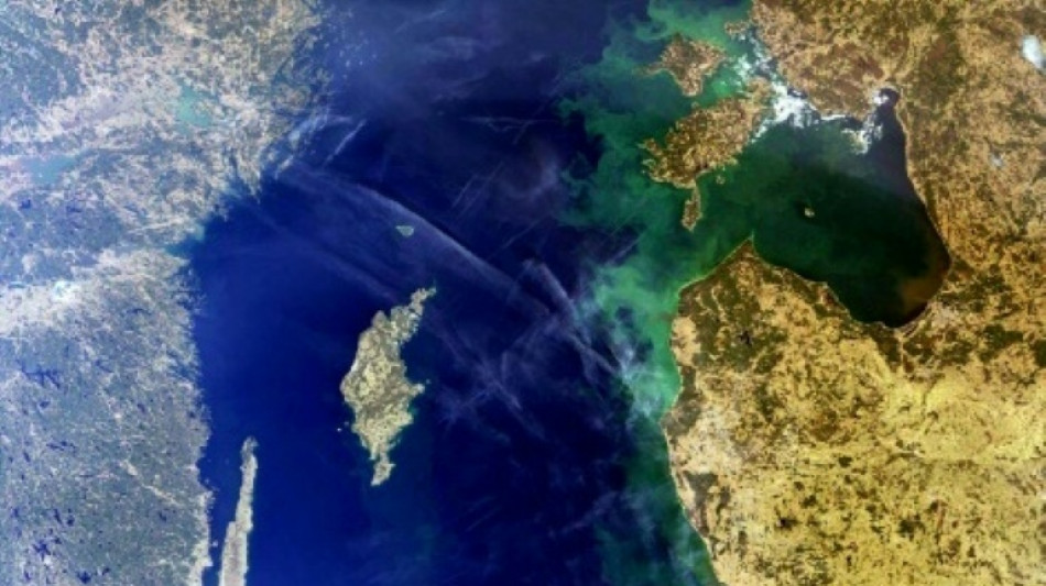Moskaus Plan für Ausweitung von Seegrenze: Litauen und Finnland fordern Erklärungen