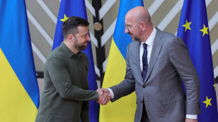 Zelensky, 'presto secondo vertice di pace, non c'è tempo'