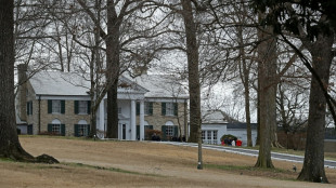 US woman pleads guilty to plot to sell Elvis's Graceland estate