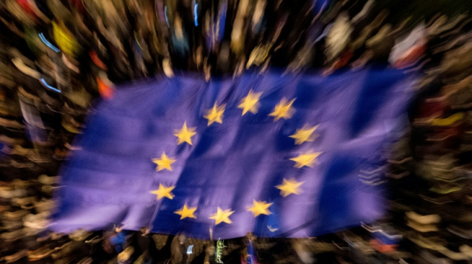 Studie vor EU-Wahl: Knapp die Hälfte der Firmen macht sich offen gegen AfD stark
