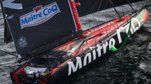 Vendée Globe: abandon de Yannick Bestaven, tenant du titre, sur avarie (équipe)