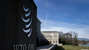 Amid Trump trade tensions, WTO remains crippled arbiter