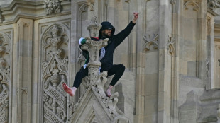 Man with Palestinian flag arrested after scaling London's Big Ben