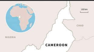 Toll in Cameroon landslide rises to 15