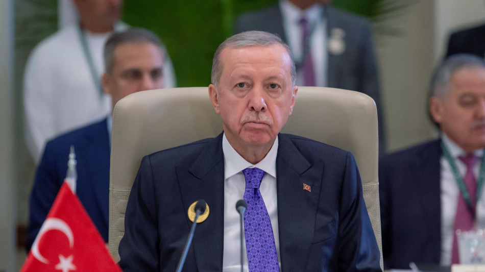 Erdogan, 'Damasco sarà il prossimo obiettivo dei ribelli'