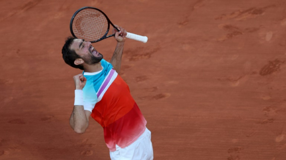 Cilic, Ruud reach French Open semi-finals for first time