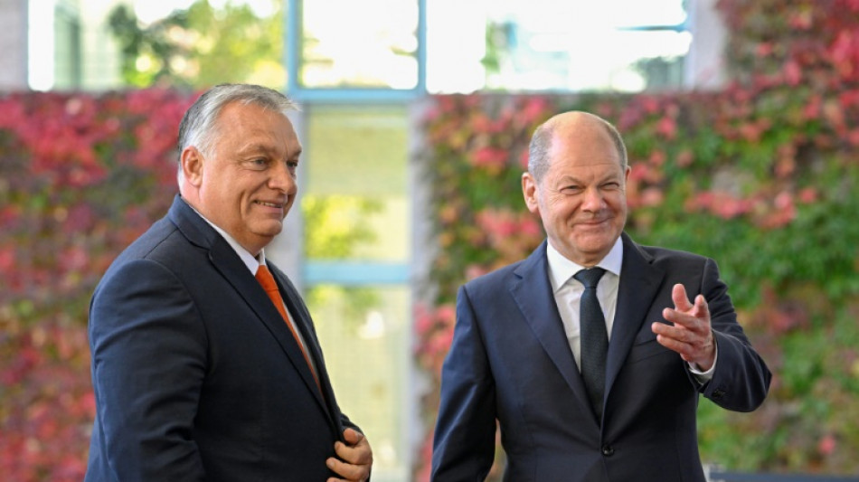 Scholz trifft ungarischen Ministerpräsidenten Orban in Berlin