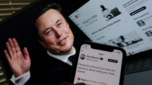 Les actionnaires de Tesla valident la méga-rémunération d'Elon Musk