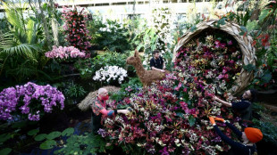 Peru é estrela em exposição de orquídeas no Jardim Botânico Real da Inglaterra