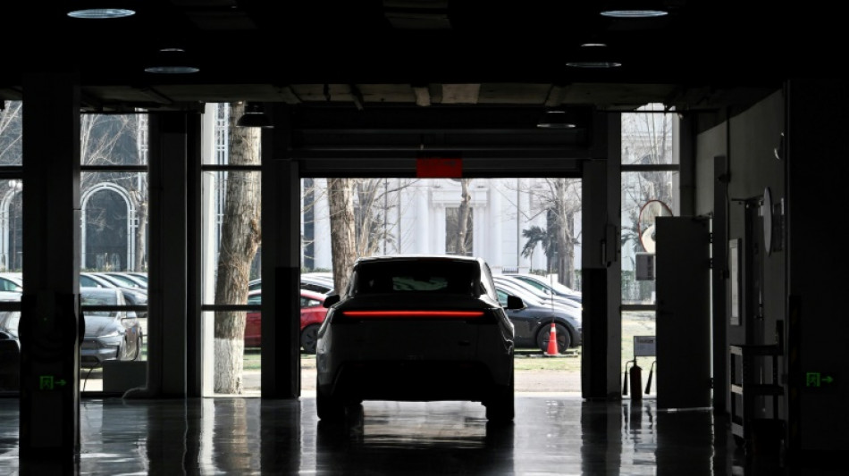 Tesla shares fall on weak China auto sales