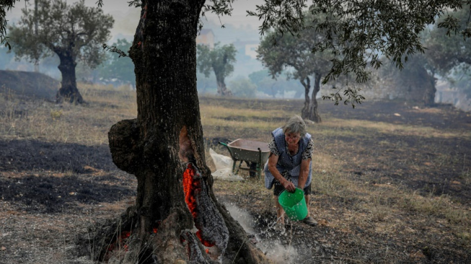 Wildfires blaze across sweltering southwest Europe 