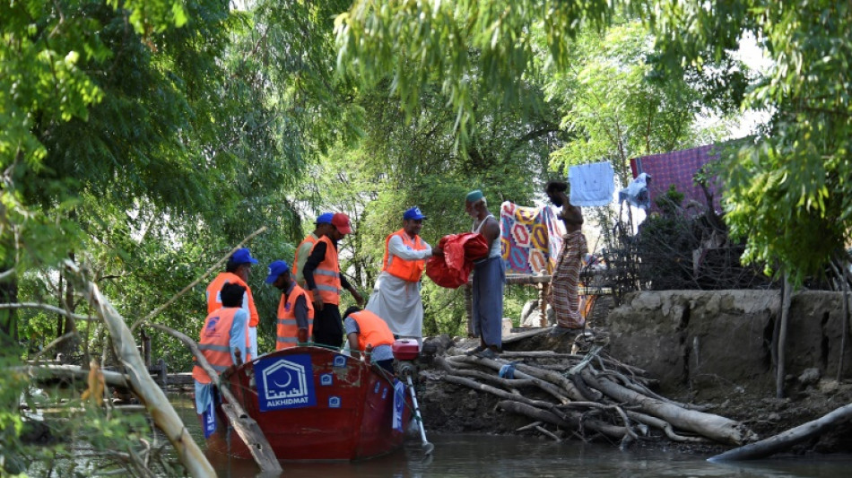 Villagers brave snakes and hunger to protect land in flooded Pakistan