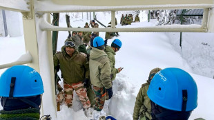 Avalanche dans le nord de l'Inde: une 8e victime retrouvée, fin des opérations de secours