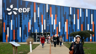 EDF engrange un bénéfice record pour 2024, avant d'entamer une année cruciale