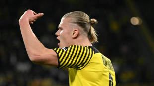 Beim Haaland-Comeback: Dortmunder Jäger nehmen Witterung auf