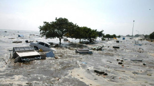 Indian Ocean nations to mark 20 years since devastating tsunami