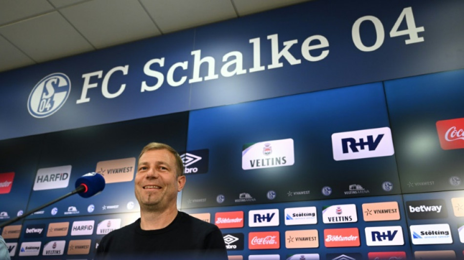 Newly-promoted Schalke name Kramer as head coach 