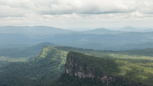 Amazzonia, mille operazioni anticrimine nella riserva Yanomami