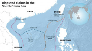 Philippine, Chinese ships collide near hotspot reef: Beijing