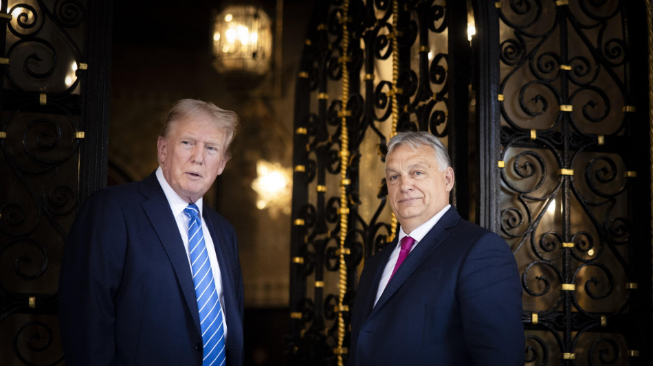 Orban sente Trump, 'grandi progetti per il futuro'