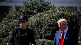 Nyt, Musk valuta donazione da 100 milioni a gruppi di Trump