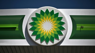 BP pledges strategic 'reset' as profit tumbles