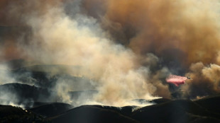 Aviones cisterna combaten los incendios alrededor de Los Ángeles entre un caótico cielo