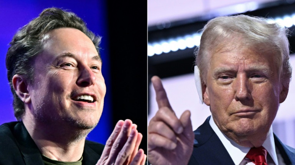 Musk to deliver 'drastic' cuts to Trump government